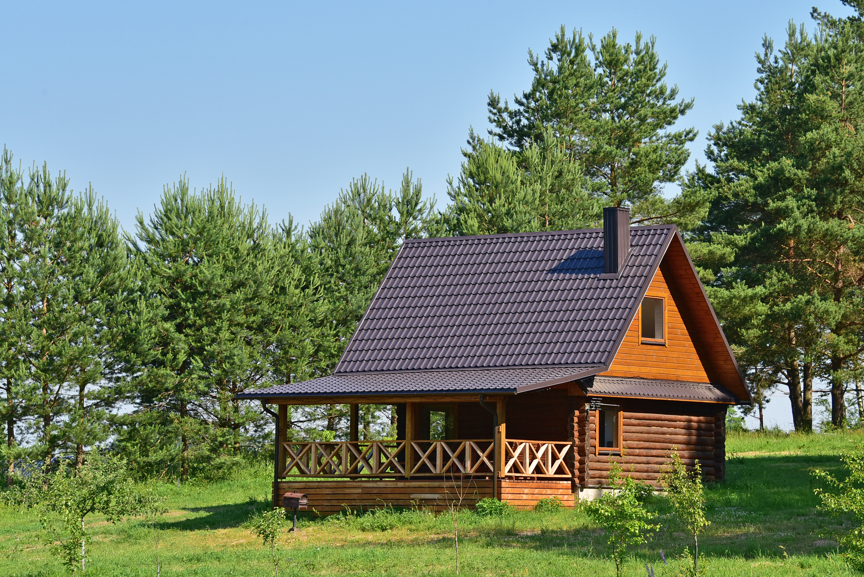 Medinis Namelis nr.2