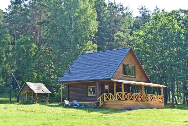 Medinis Namelis nr.1